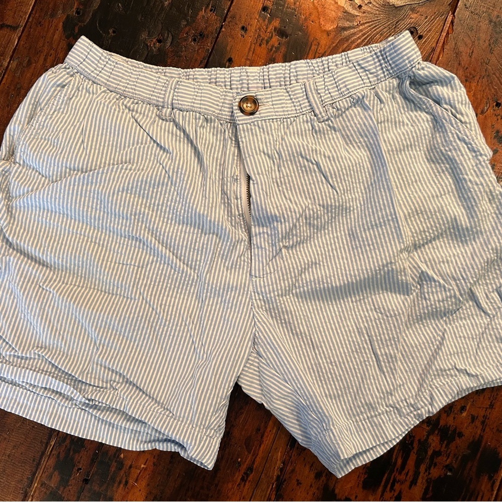 Men's Seer Sucker Chubbies Brand Shorts